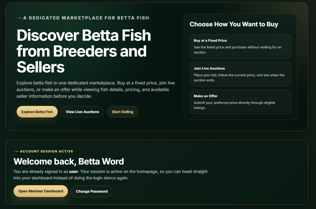 Bettavaro home page showing an active member session